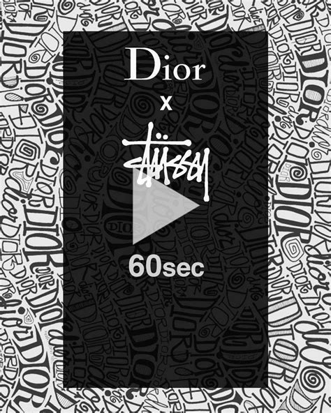 Dior x Shawn Stussy .